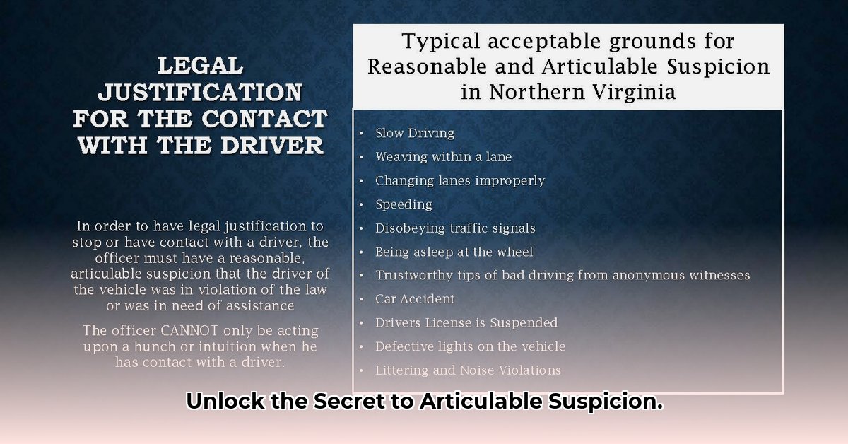 articulable-suspicion-definition
